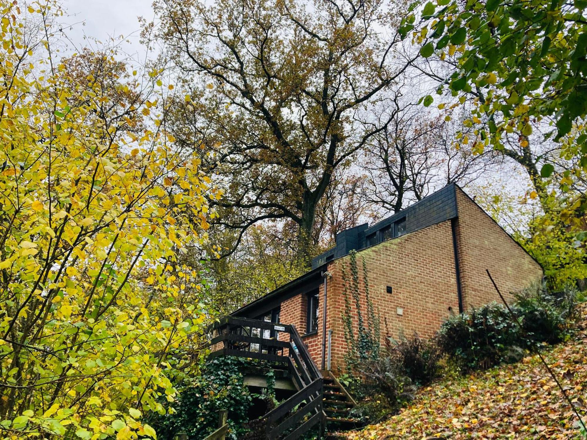 Woody Lodge - Duplex Nature Bonsoy Ardennes Hastiere-par-dela Eksteriør billede